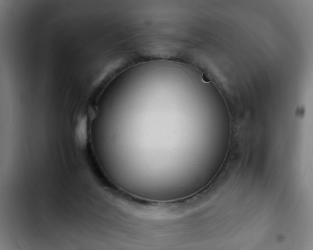 X0000103130020200808291326