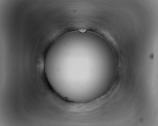 X0000103130021200808291326