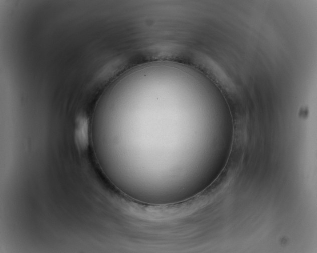 X0000103130022200808291326