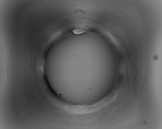 X0000103130023200808291326