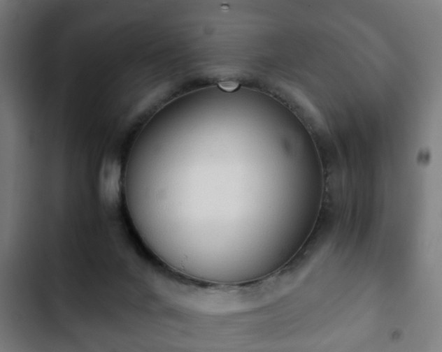 X0000103130024200808291326