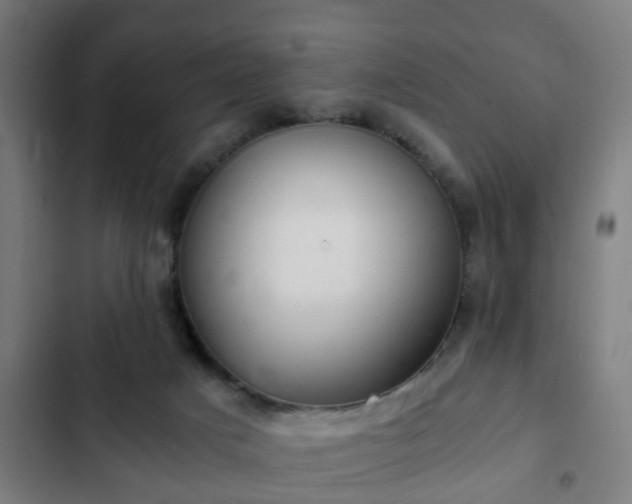 X0000103130025200808291326