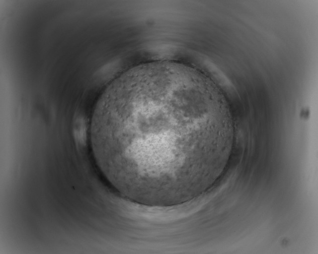 X0000103130026200808291326
