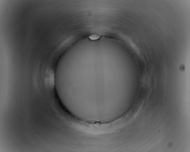 X0000103130027200808291326
