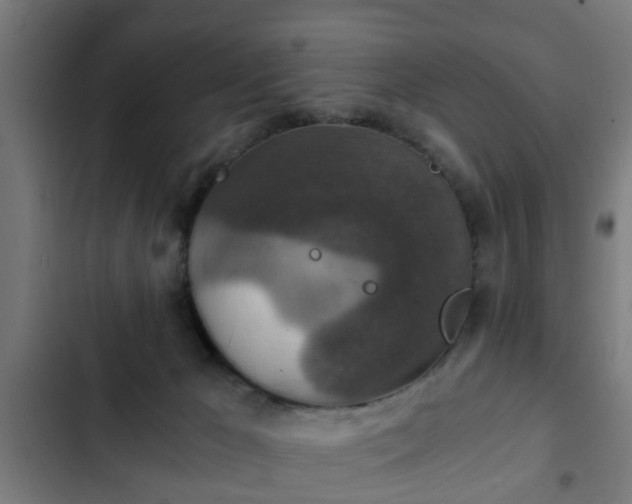 X0000103130029200808291326