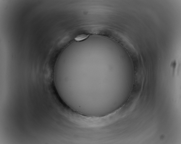 X0000103130031200808291325