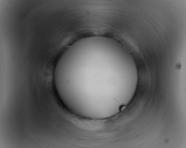 X0000103130032200808291325