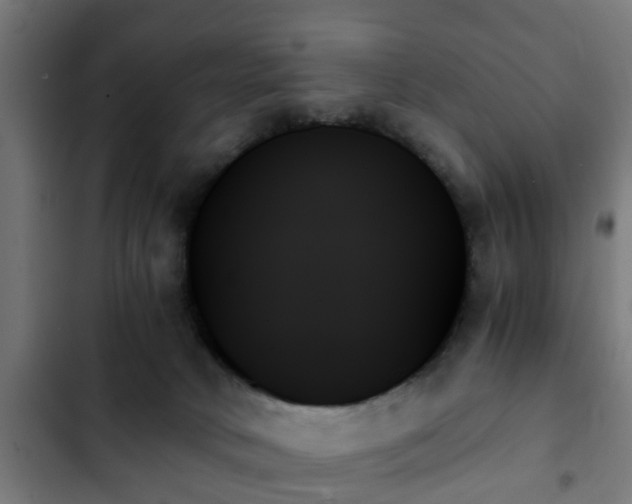 X0000103130034200808291325