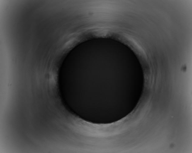 X0000103130035200808291325