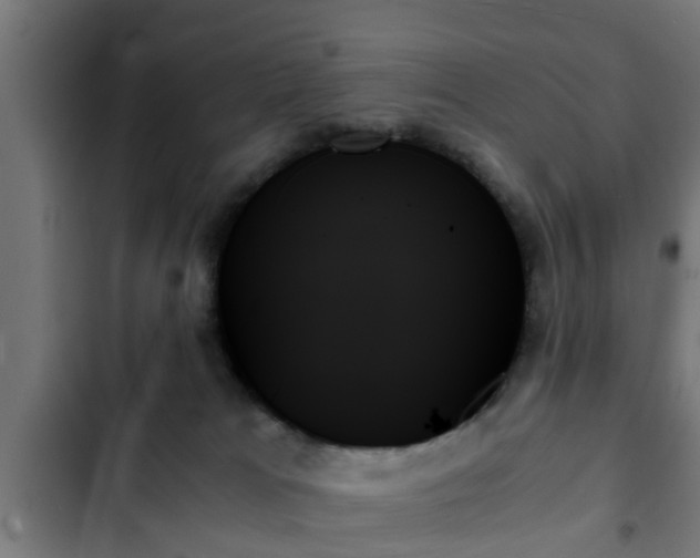 X0000103130037200808291325