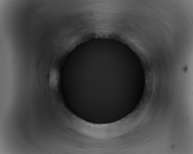 X0000103130038200808291325