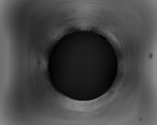 X0000103130039200808291325