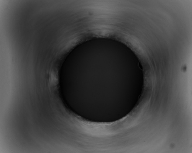 X0000103130040200808291325