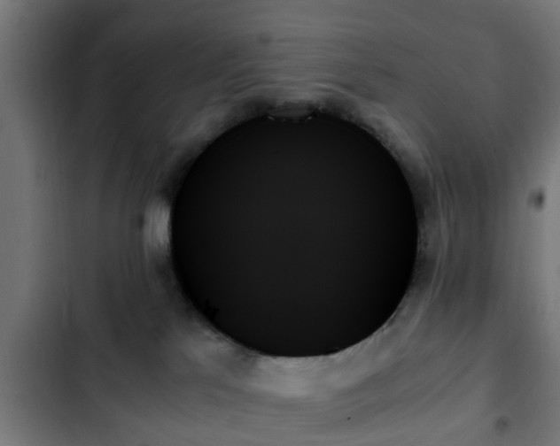 X0000103130041200808291325