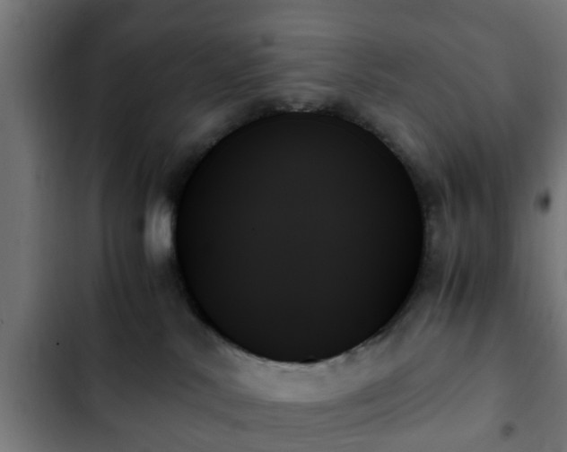 X0000103130042200808291325