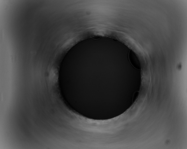 X0000103130043200808291325