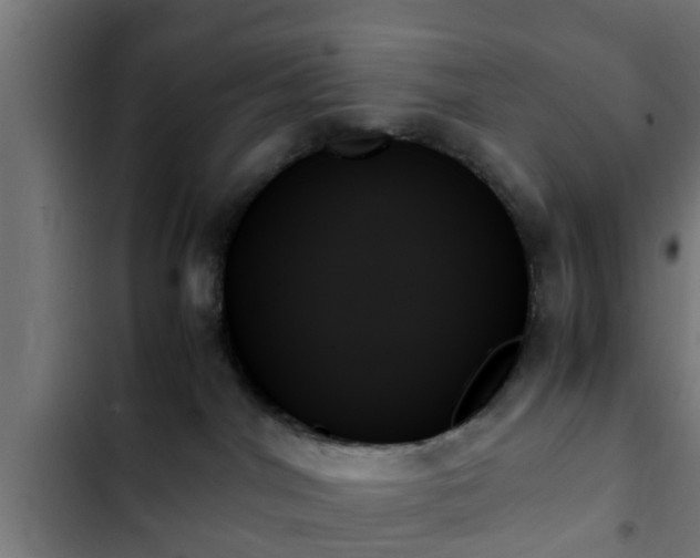 X0000103130044200808291325