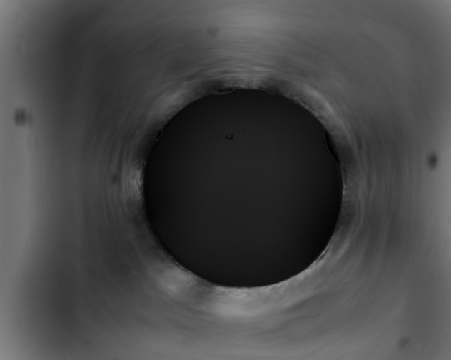X0000103130045200808291325