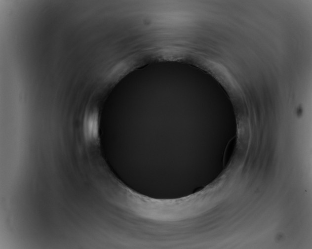 X0000103130046200808291325
