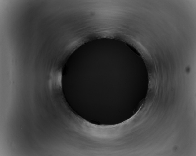 X0000103130047200808291325