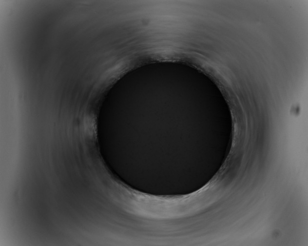 X0000103130048200808291325