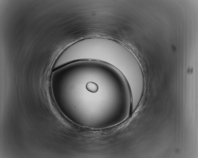 X0000103130049200808291325