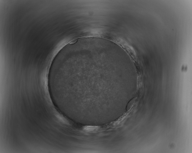 X0000103130051200808291325
