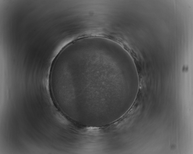 X0000103130052200808291325