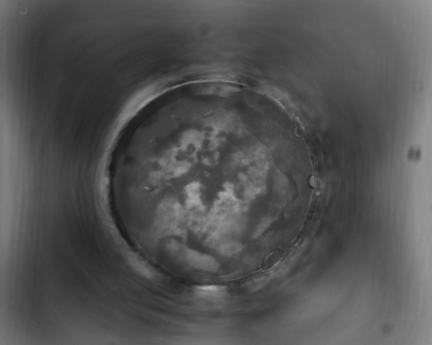 X0000103130053200808291325