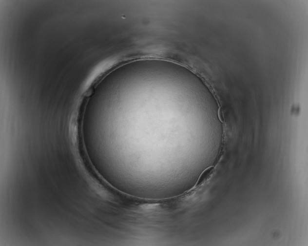 X0000103130054200808291325