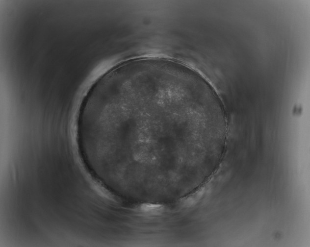 X0000103130055200808291325