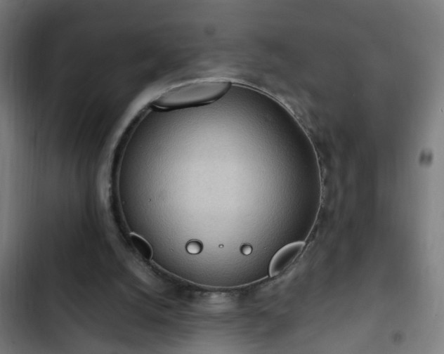 X0000103130056200808291325