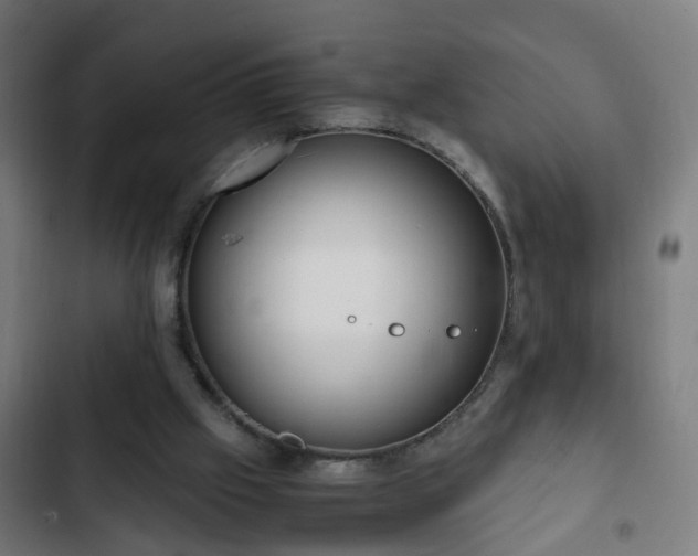 X0000103130057200808291325