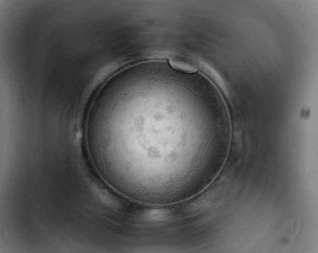 X0000103130059200808291325