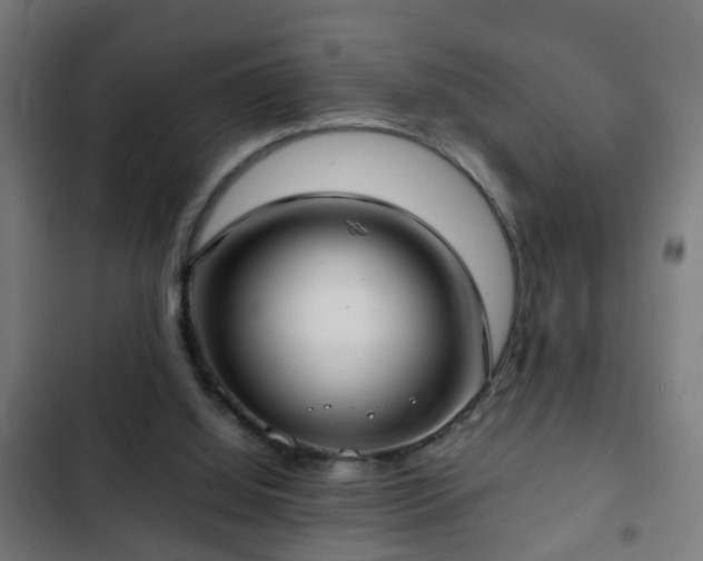 X0000103130060200808291325