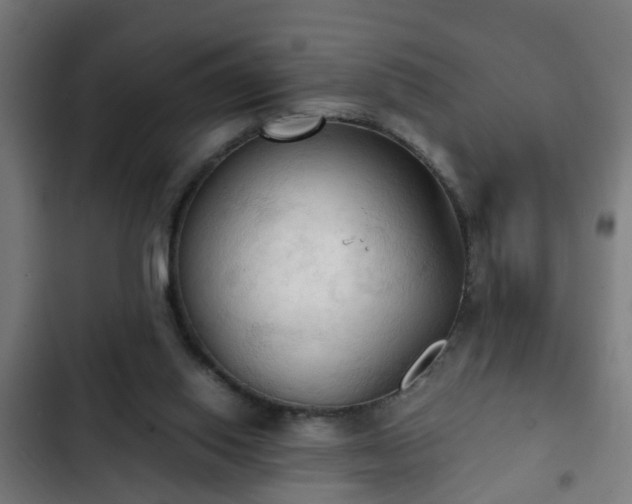 X0000103130062200808291325