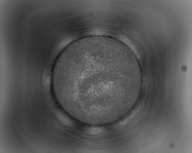 X0000103130063200808291325