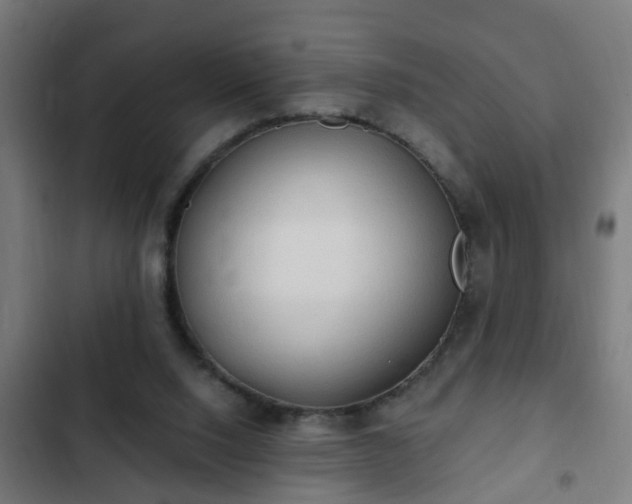 X0000103130064200808291325