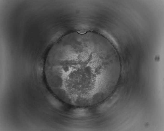 X0000103130065200808291325