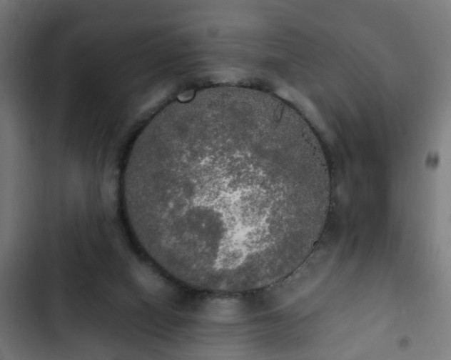 X0000103130066200808291325