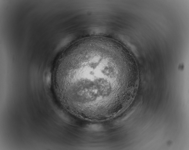 X0000103130067200808291325