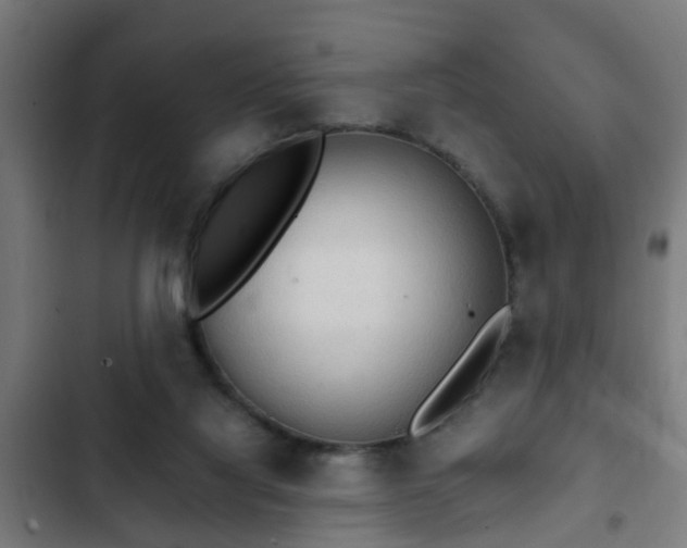 X0000103130068200808291325