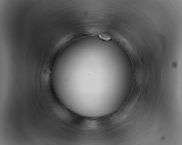 X0000103130071200808291325