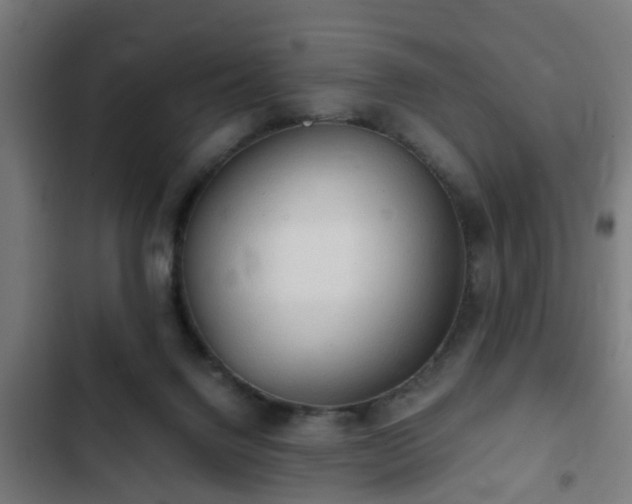 X0000103130072200808291325