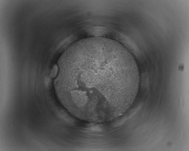 X0000103130073200808291325