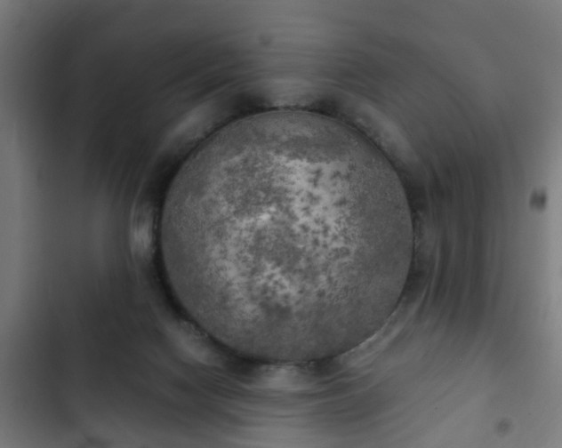 X0000103130074200808291325