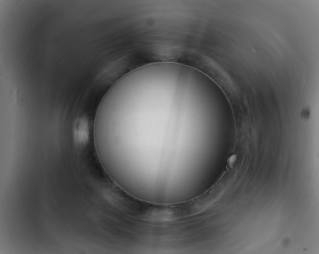 X0000103130075200808291325