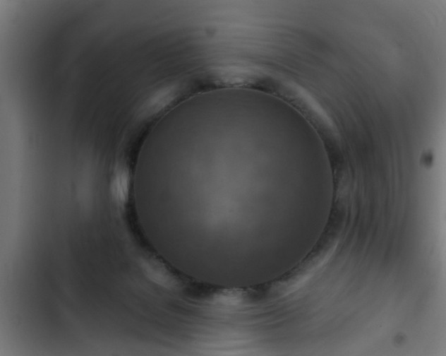 X0000103130076200808291325