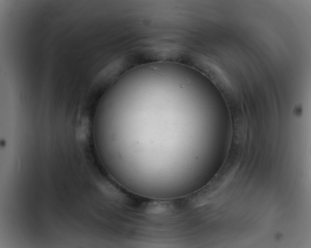 X0000103130077200808291325