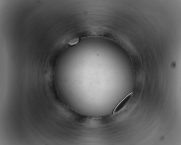 X0000103130078200808291325